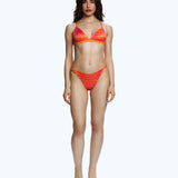 Wild Sunrise Bikini Bottom - Zebra